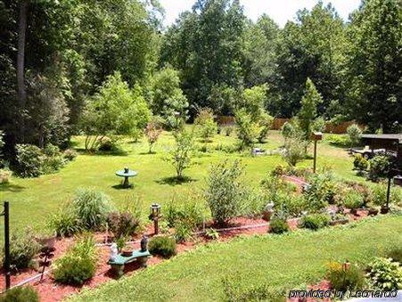 Rock Laurel Bed And Breakfast Candler Einrichtungen foto